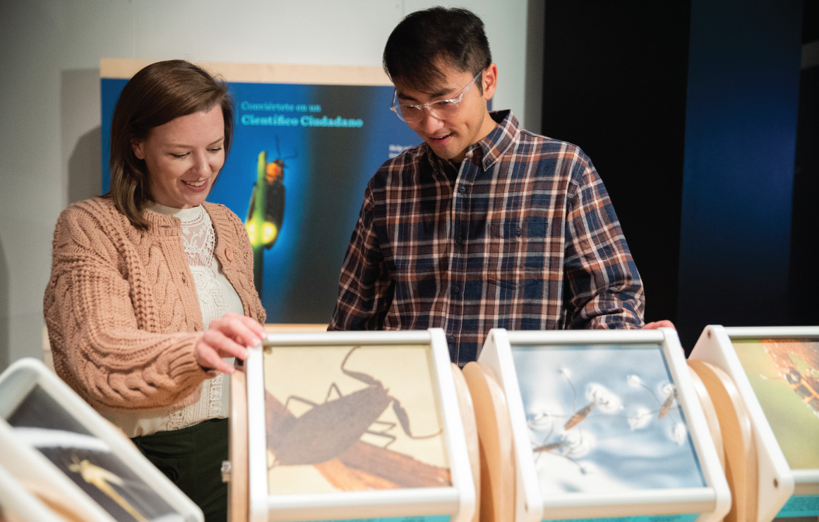Two adults spin block exhibits of insects.