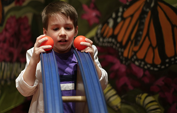A young boy plays with the tracks and balls at the Science Centre.