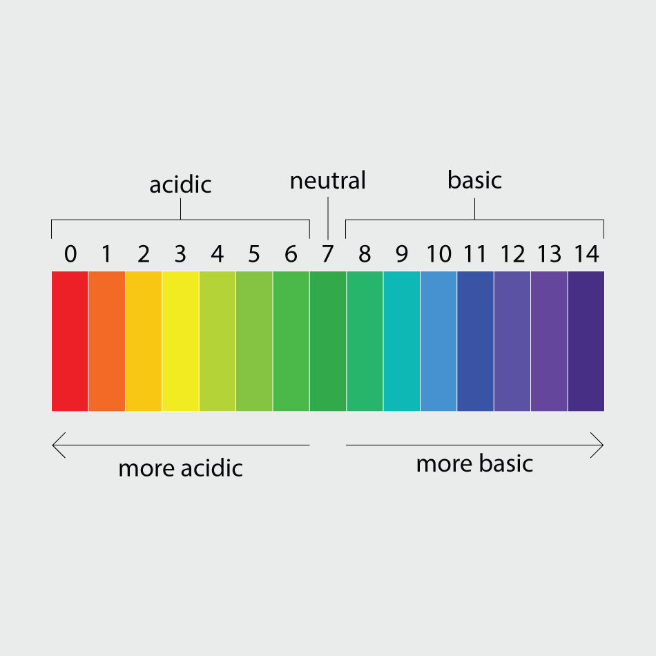 Diagram of the pH scale, with red representing "0" or most acidic, and dark purple representing "14" or most basic.