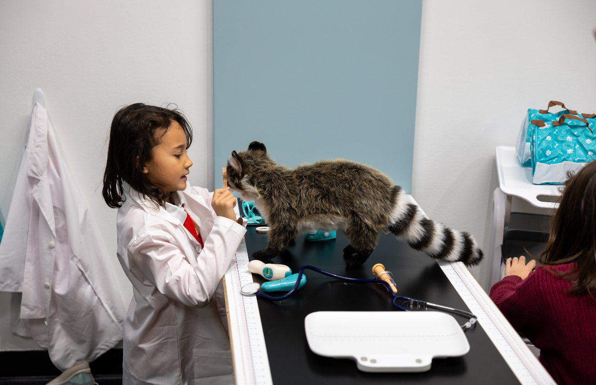 A young girl doctor playing with the raccoon stuff toy.