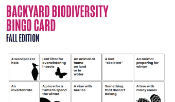 Screenshot of the Backyard Biodiversity Bingo Card (Fall Edition).