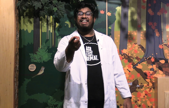 An educator presents in front of a mural of a forest.